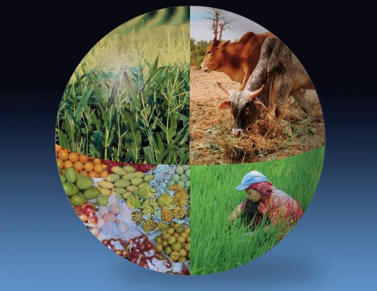 Climate Change and Food Security